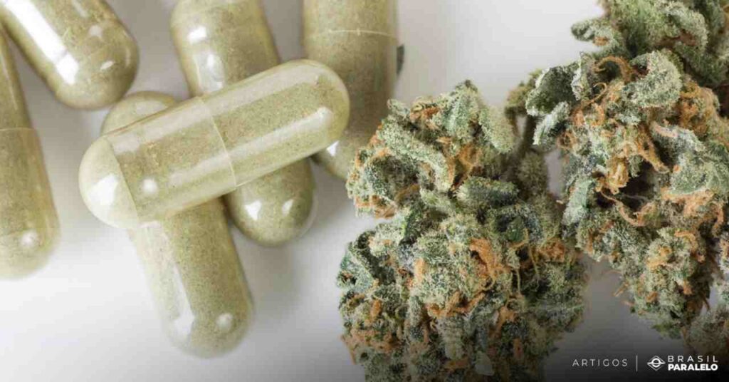 Uso-medicinal-da-maconha