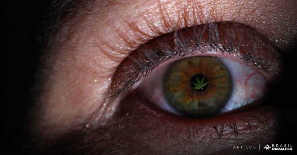 legalizacao-da-maconha-no-Brasil-e-as-consequencias