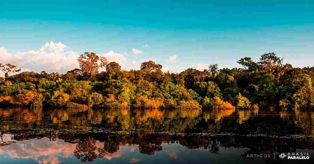 Importancia-da-floresta-amazonica