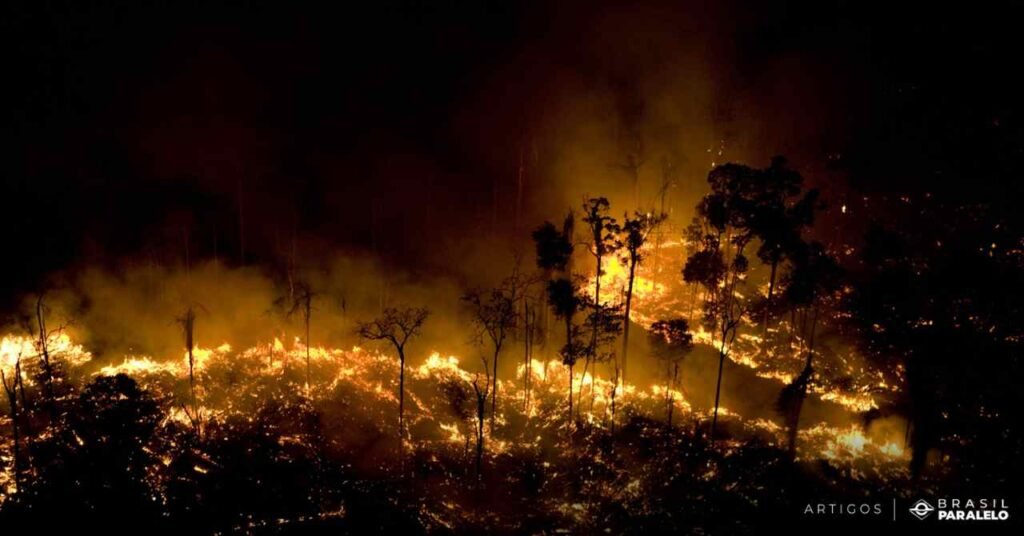 Desmatamento-e-queimadas-na-Amazonia