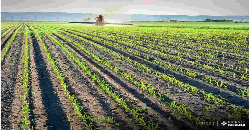 producao-de-alimentos-para-o-aumento-do-numero-de-pessoas-no-mundo
