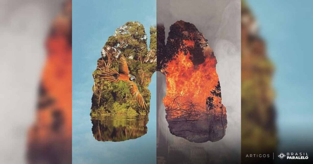 a-amazonia-nao-e-o-pulmao-do-mundo