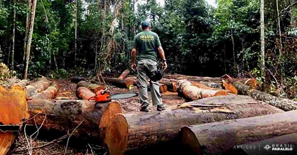 consequencias-do-desmatamento-na-amazonia