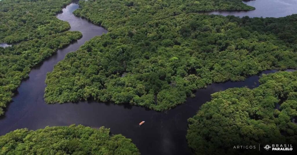 exigencias-do-codigo-florestal-brasileiro