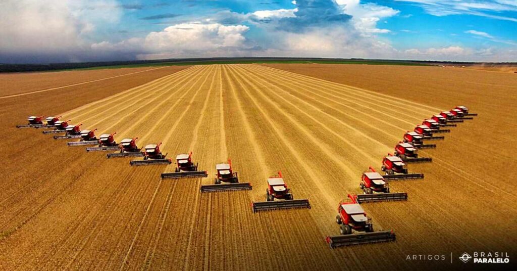 O-brasil-e-capaz-de-alimentar-o-mundo