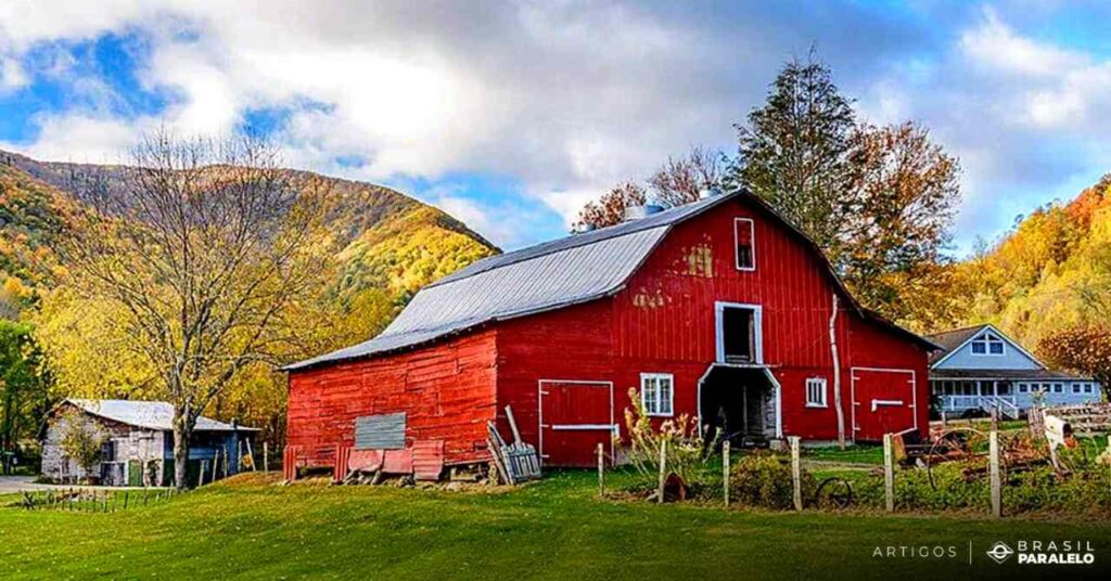 Brasil-tem-capacidade-para-ser-o-celeiro-do-mundo