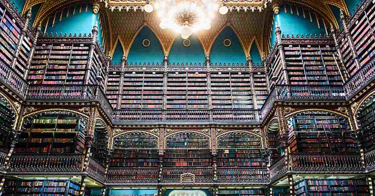 qual é a importância da literatura