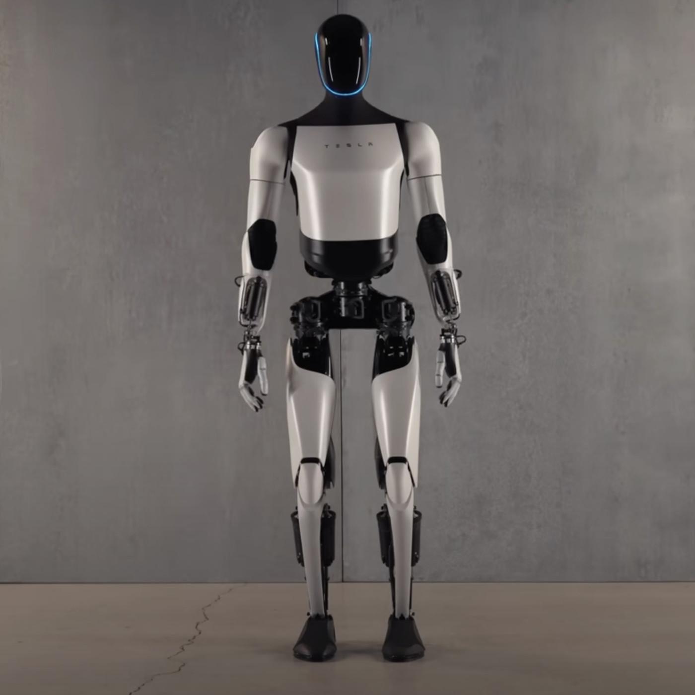 Tesla's Optimus robot will start performing “useful tasks” by the end of  this year. - The Verge