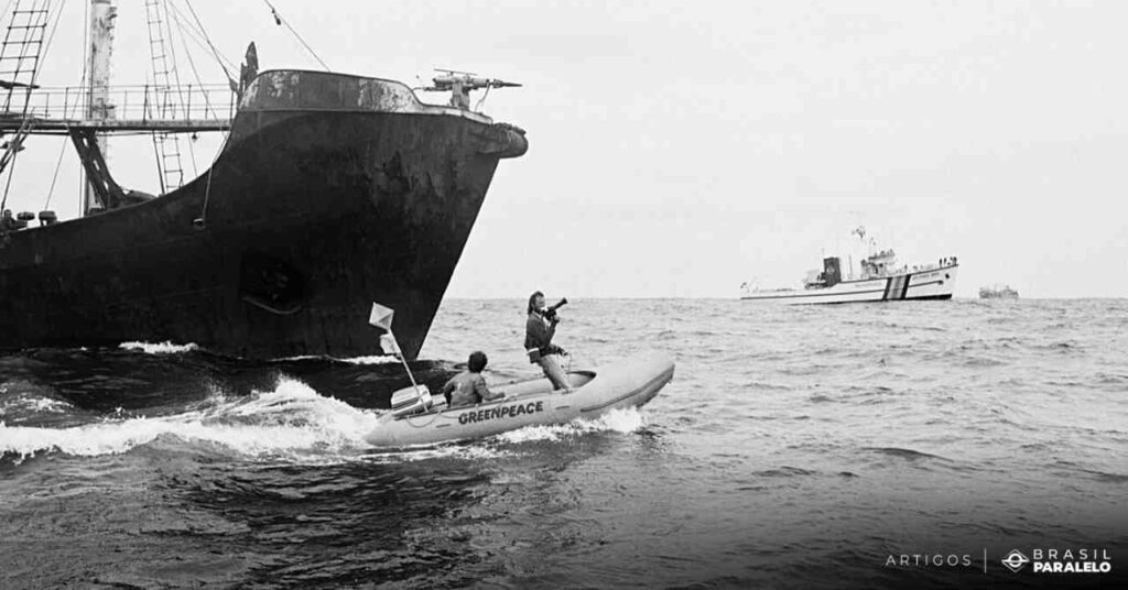 Os-membros-do-Greenpeace-tentam-impedir-que-barcos-russos-cacassem-baleias