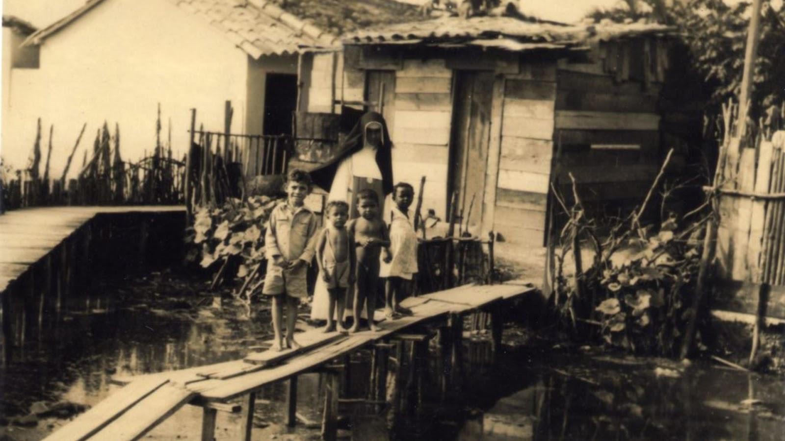Irã dulce dos pobres em abrigo construído no galinheiro