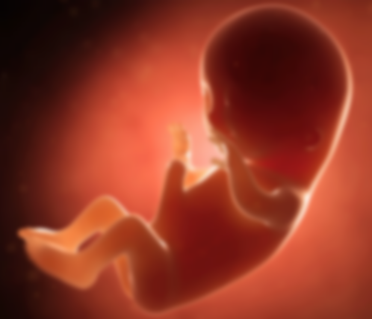 Aborto - Quem é a Verdadeira Vítima?