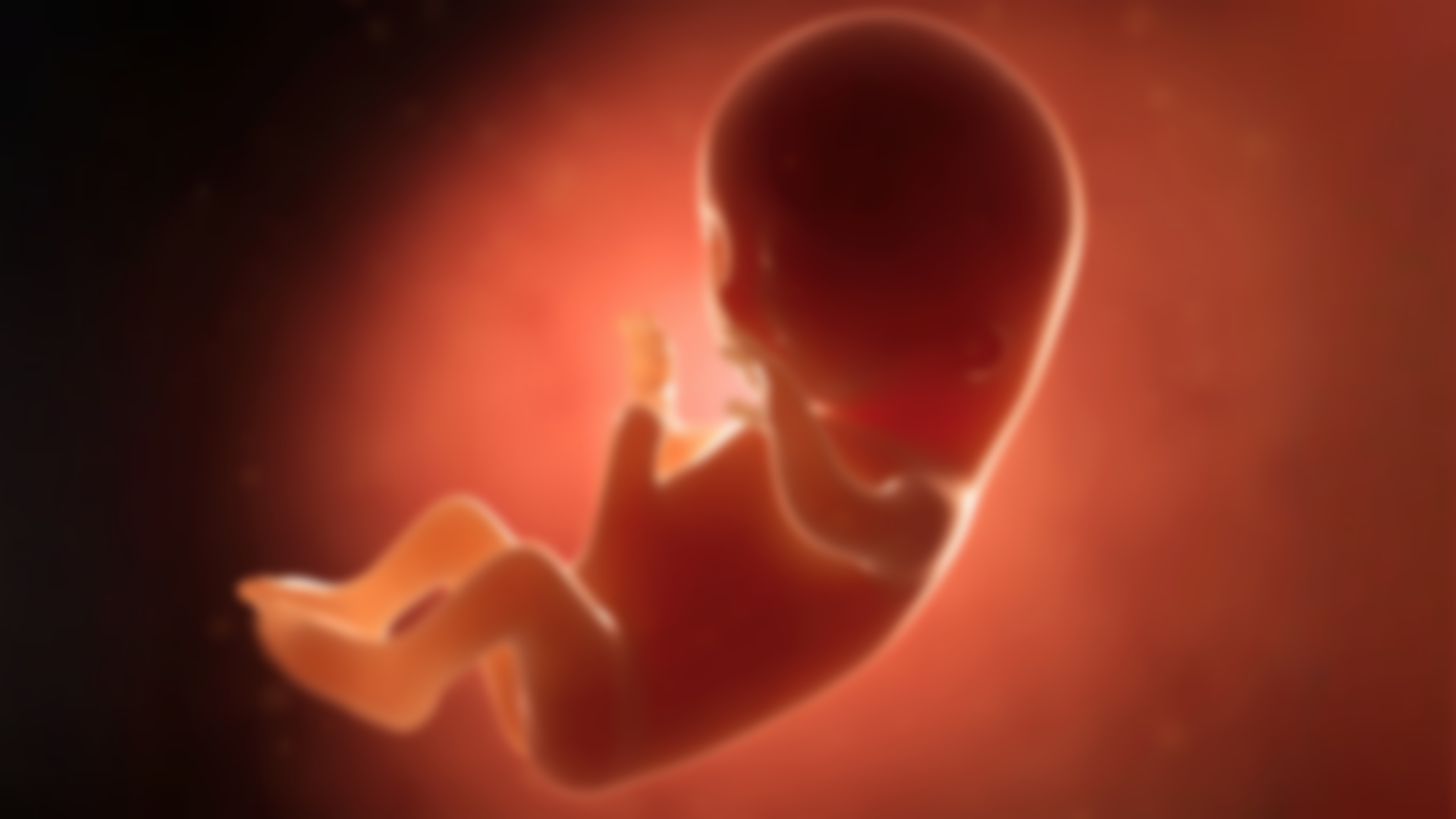 Aborto - Quem é a Verdadeira Vítima?