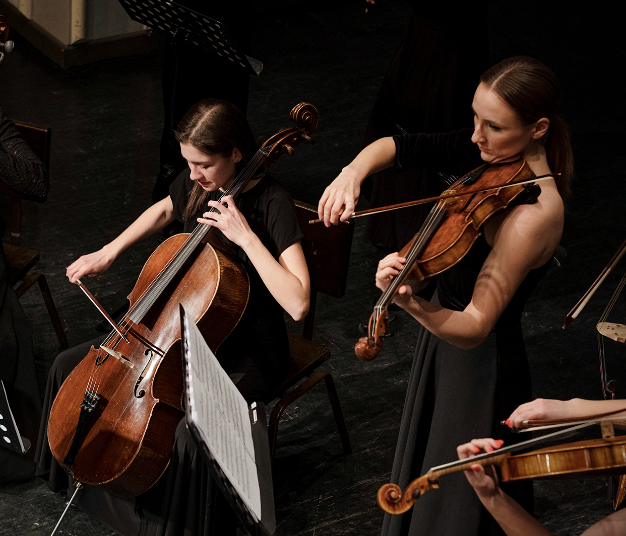 Conheça a Orquestra