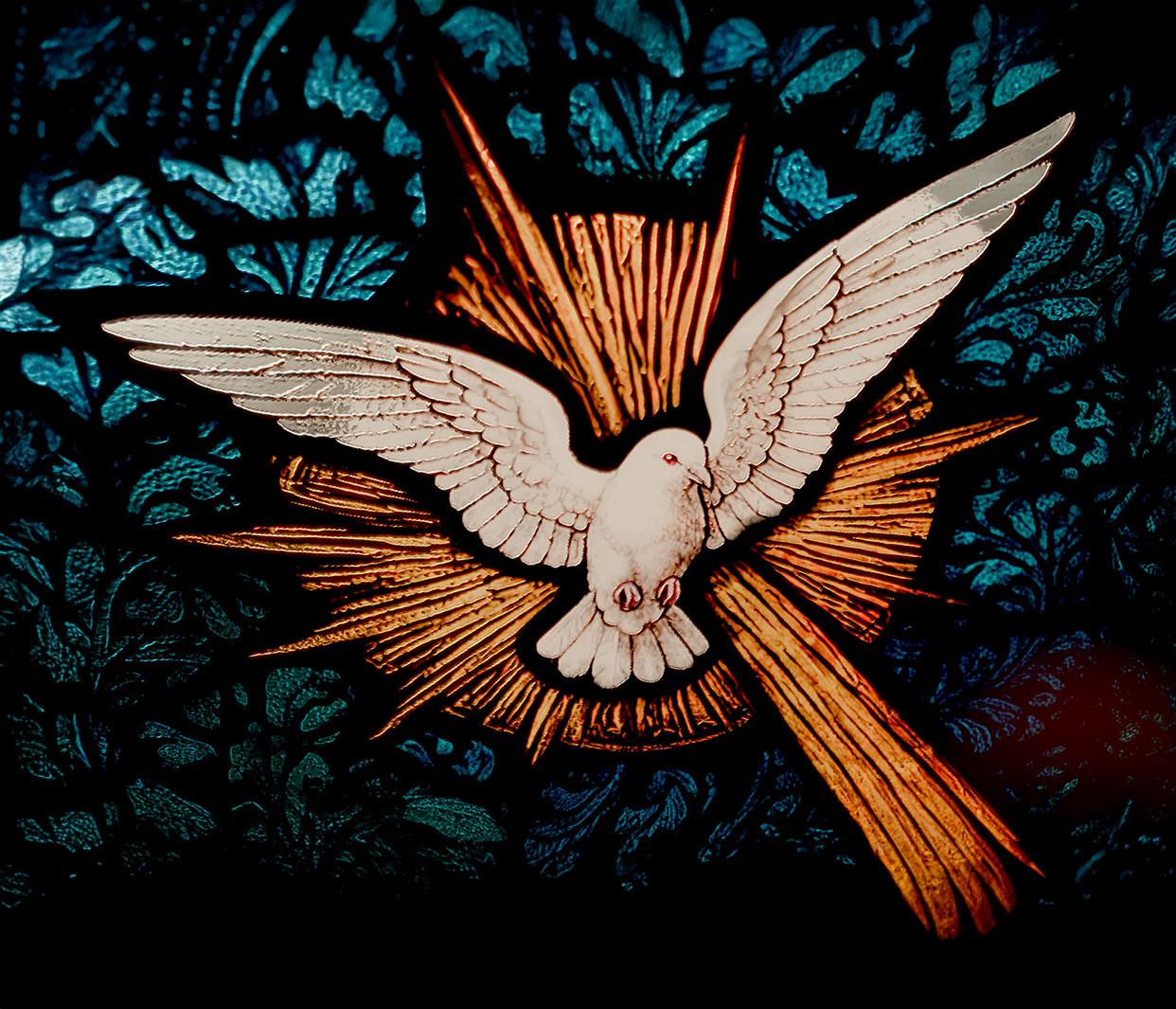 Especial de Natal 2025