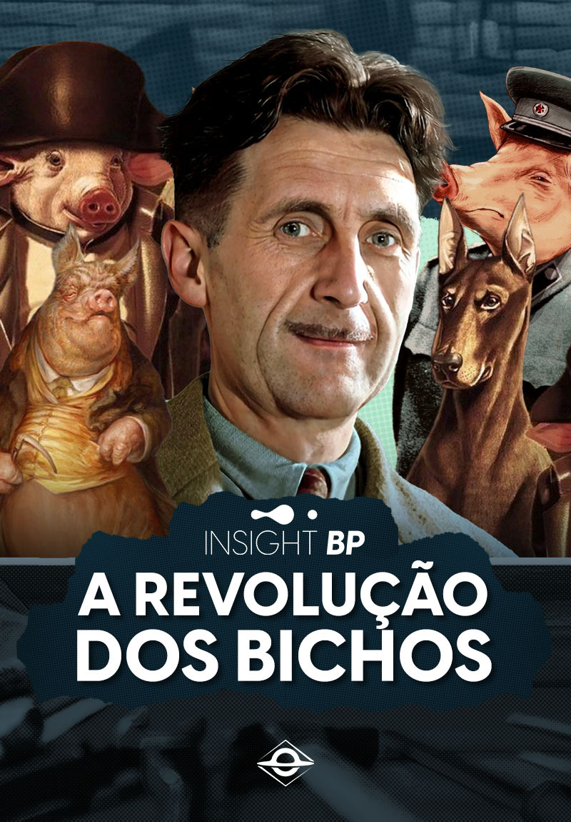 Insight BP - 2ª Temporada