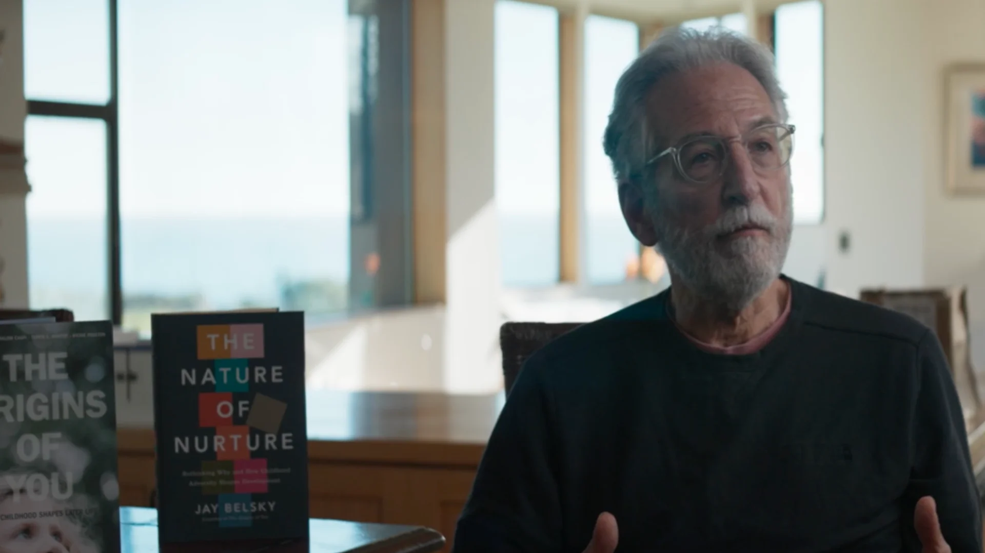 Jay Belsky é psicólogo reconhecido internacionalmente na área de Desenvolvimento Infantil e Estudos Familiares.