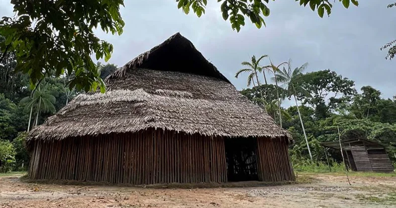 Cover image for A tecnologia que ergue estruturas na Amazônia sem usar cimento